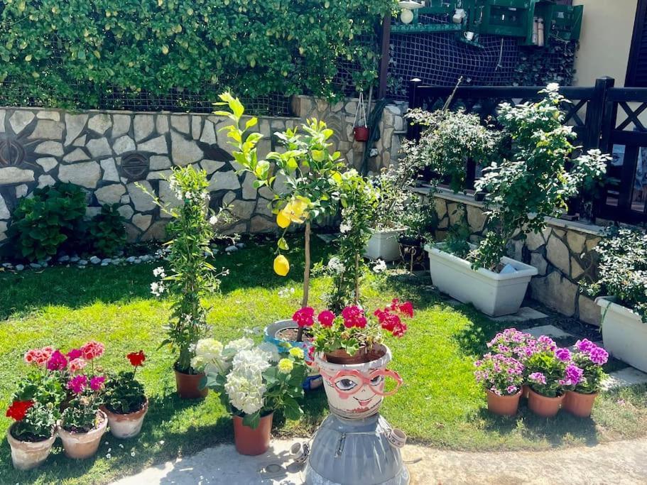 Villa Eco-Chic Carini Bagian luar foto